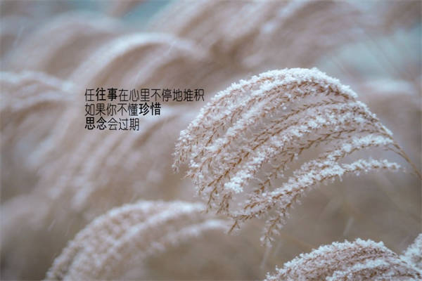 有关诚信的名言名句有哪些
