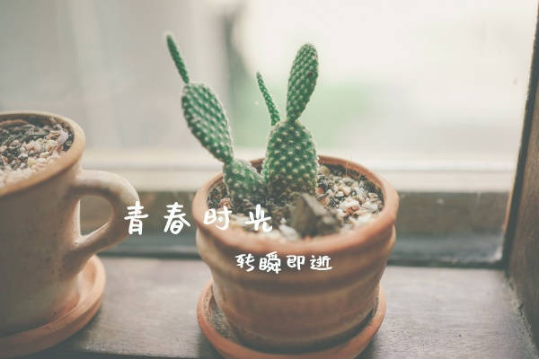 文案短句治愈配图