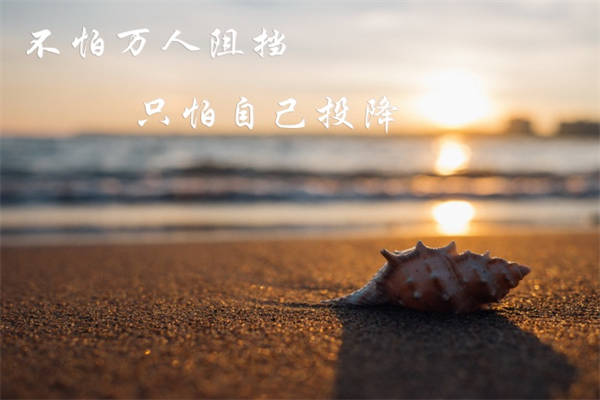 最温柔的牵挂