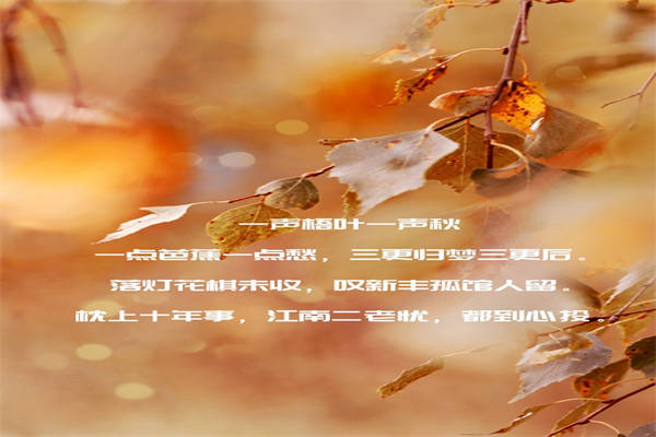 小清欢经典语录文案