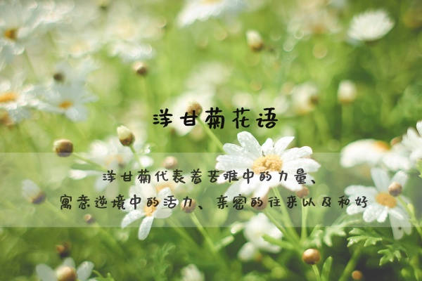 适合5点20给对象发的情话