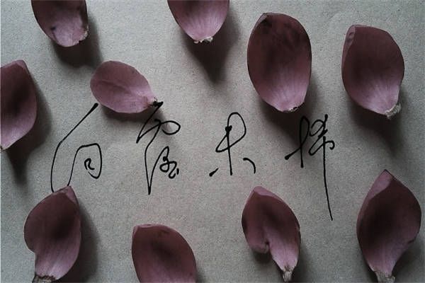 奸人坚语录