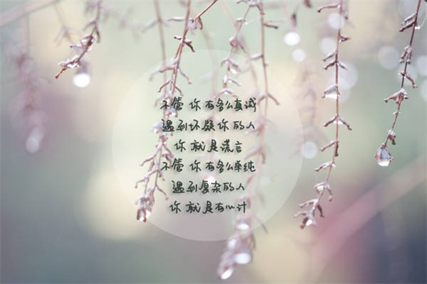 刘耀文的语录合集 人生经典名言名句大全八个字