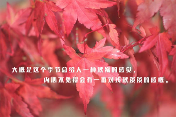 体育馆的名言警句有哪些