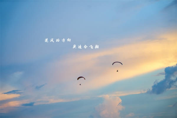 一周年