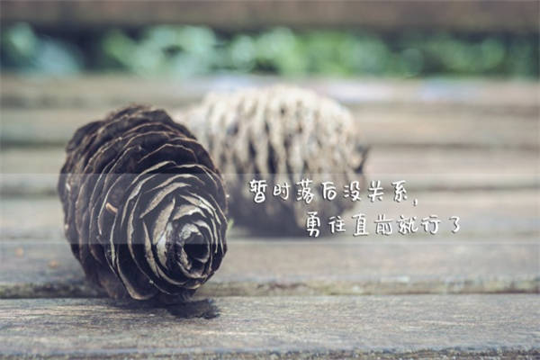 微信个性签名