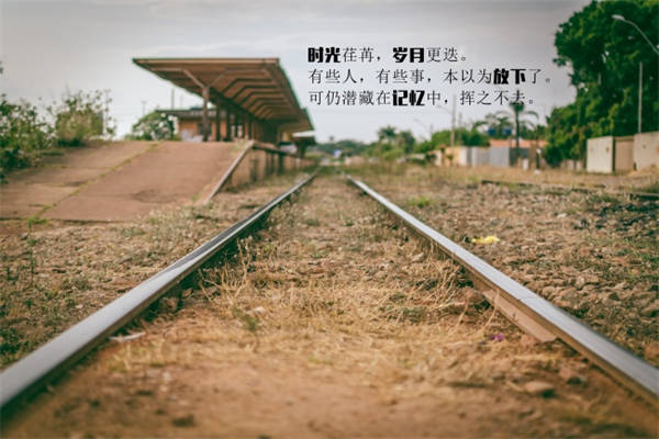 小学毕业句子经典语录抖音