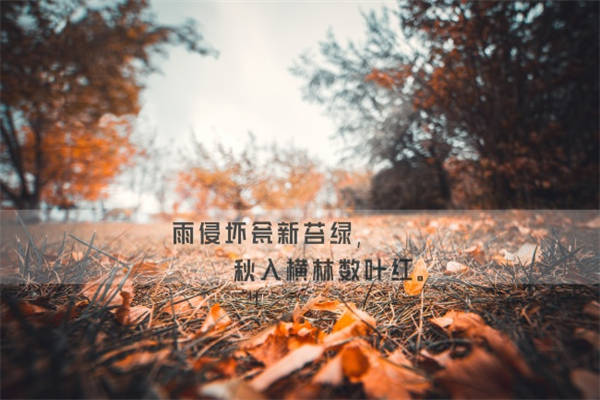 奸人坚语录