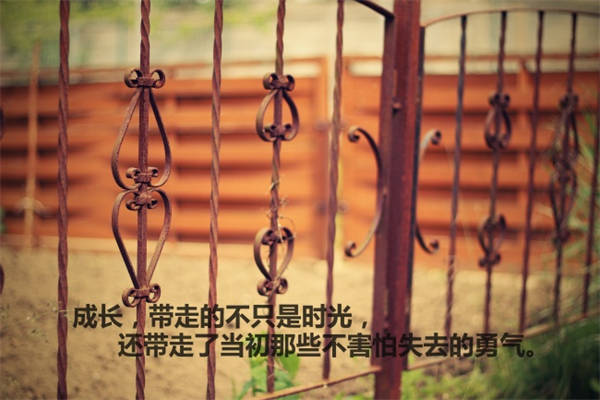 关于女人