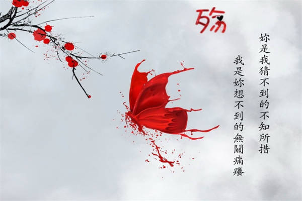 一周年纪念日