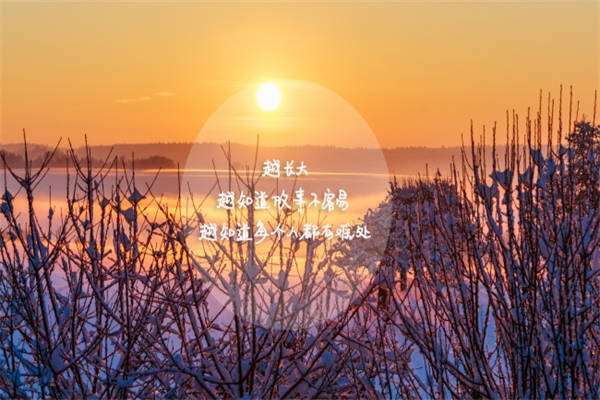 文案短句可爱