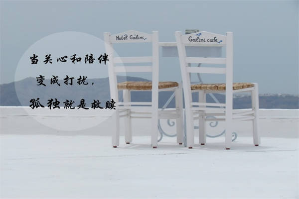 社会语录