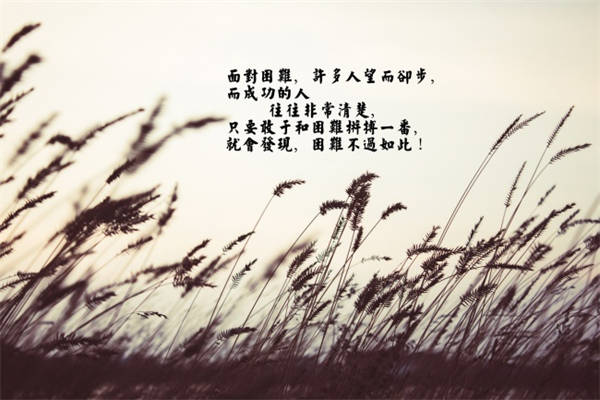 初中名言警句积累