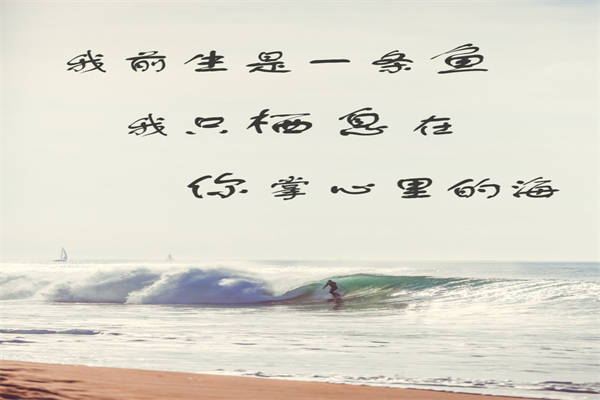 生活感悟语录经典短句