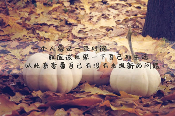 村上春树治愈系语录磨牙 珍惜时间的名言警句有哪些六年级