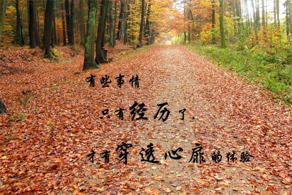 人生格言短句10字