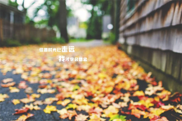 宋亚轩和刘耀文的语录 又a又飒的文案