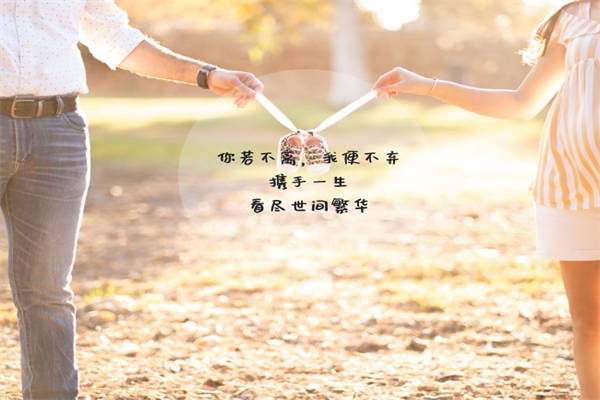 惊艳了世人的书摘文案