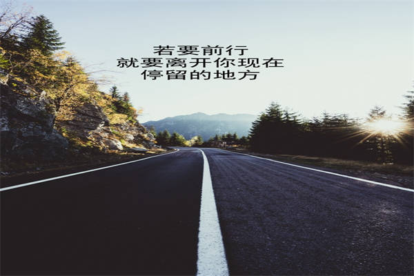 爱情语录句子迷
