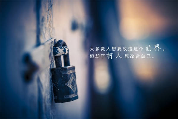 卑微的爱情