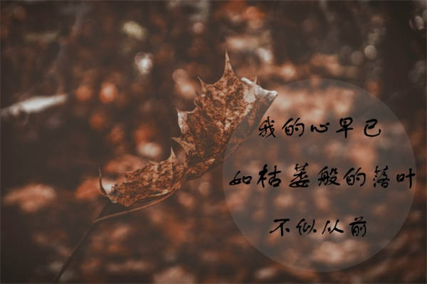 八个字激励短句 治愈的语录摘抄