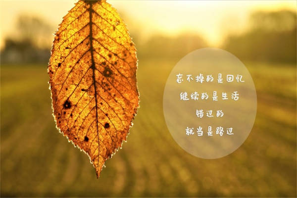 生活感悟语录经典短句