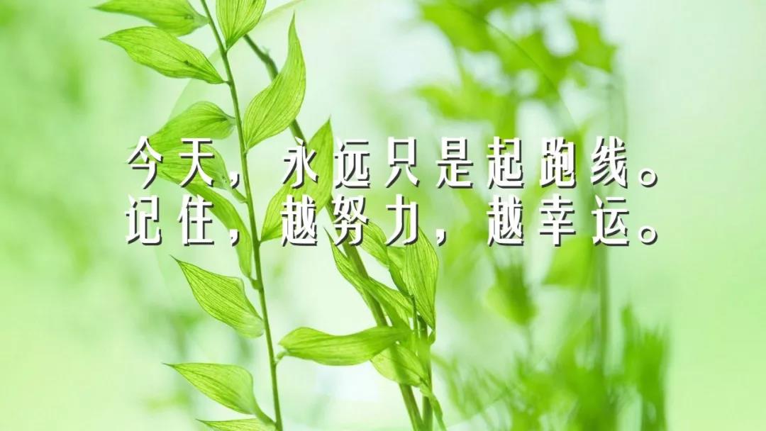 各种伤感语录