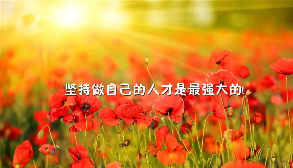 元宵节祝福语八个字