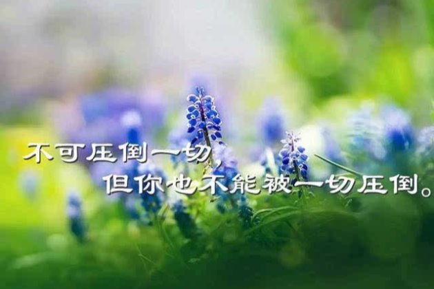 温馨短信