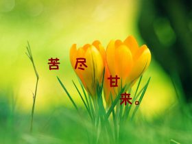 生活情感经典语录