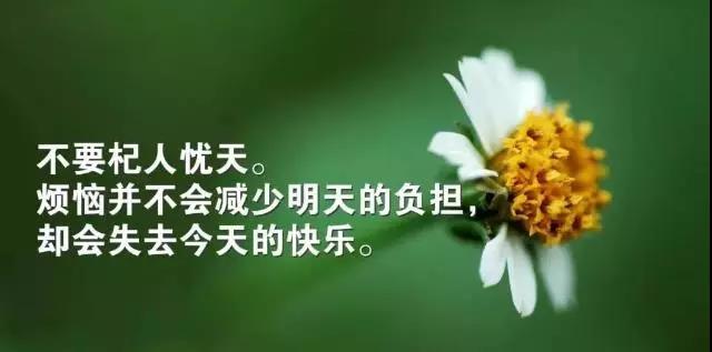 美文摘抄及赏析