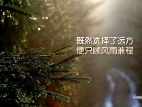 男女经典语录
