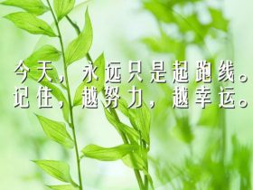 孤芳不自赏经典语录