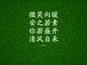 各种开车套路话